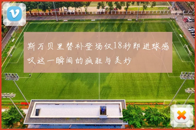 斯万贝里替补登场仅18秒即进球感叹这一瞬间的疯狂与美妙